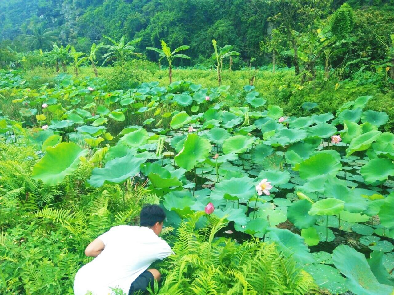 Sunny Trang An Homestay Ninh Bình Extérieur photo
